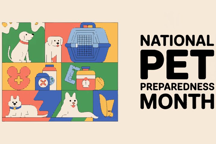 National Pet Preparedness Month